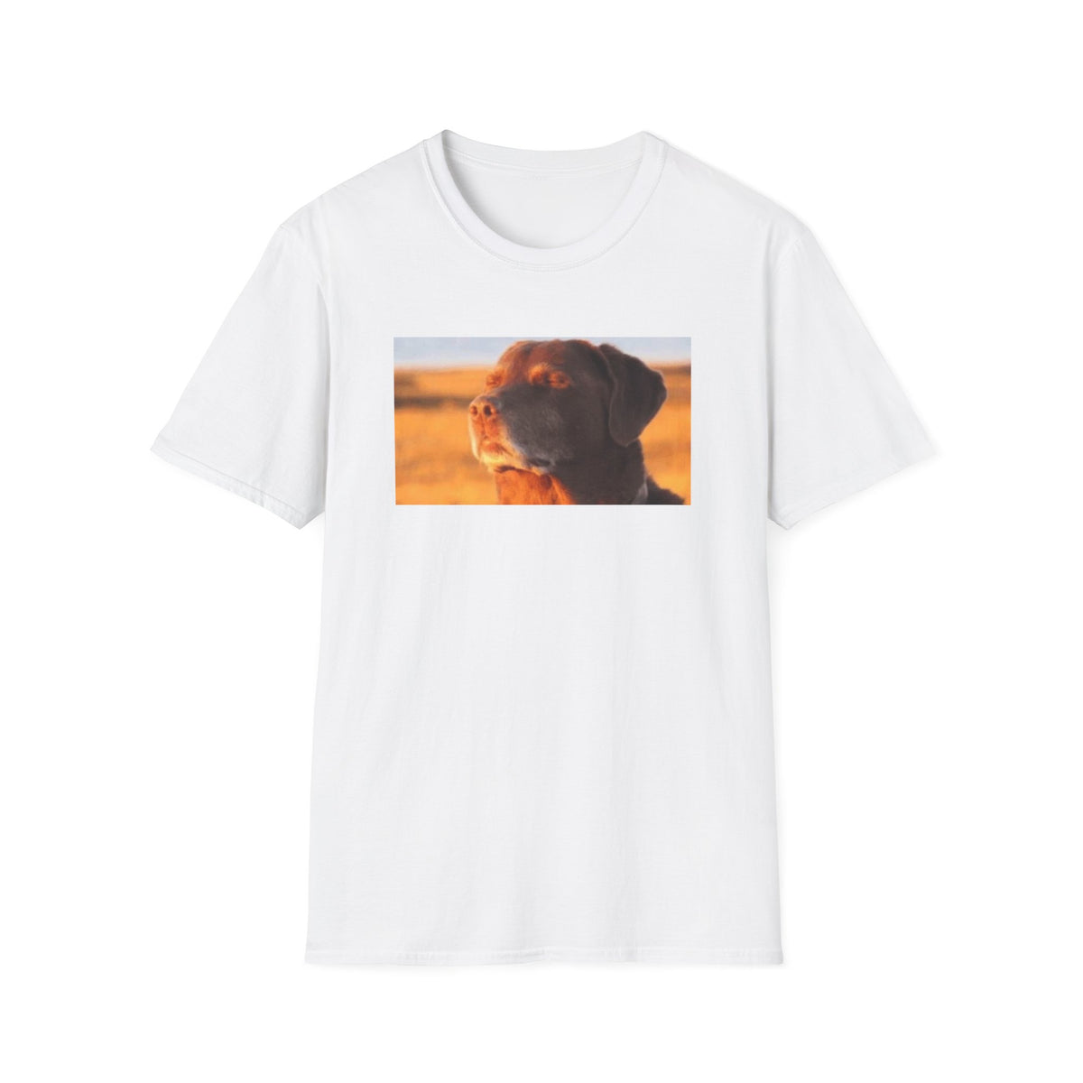 Dog Eyes Closed Meme