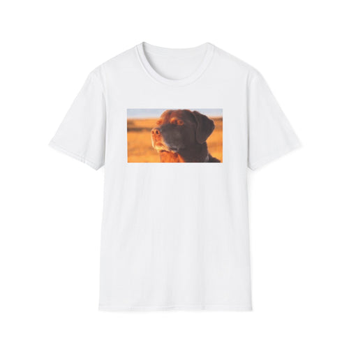 Dog Eyes Closed Meme
