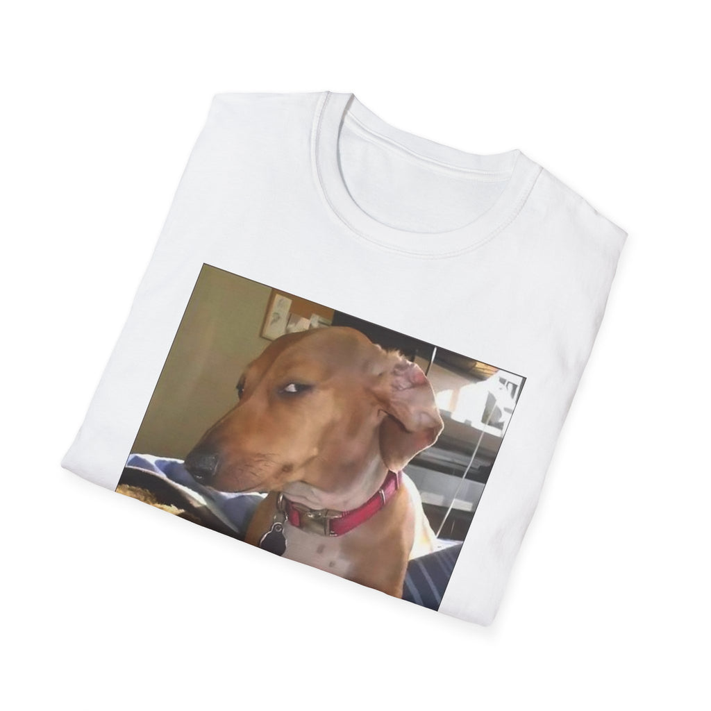 Dog Side Eye Sus Reaction Meme