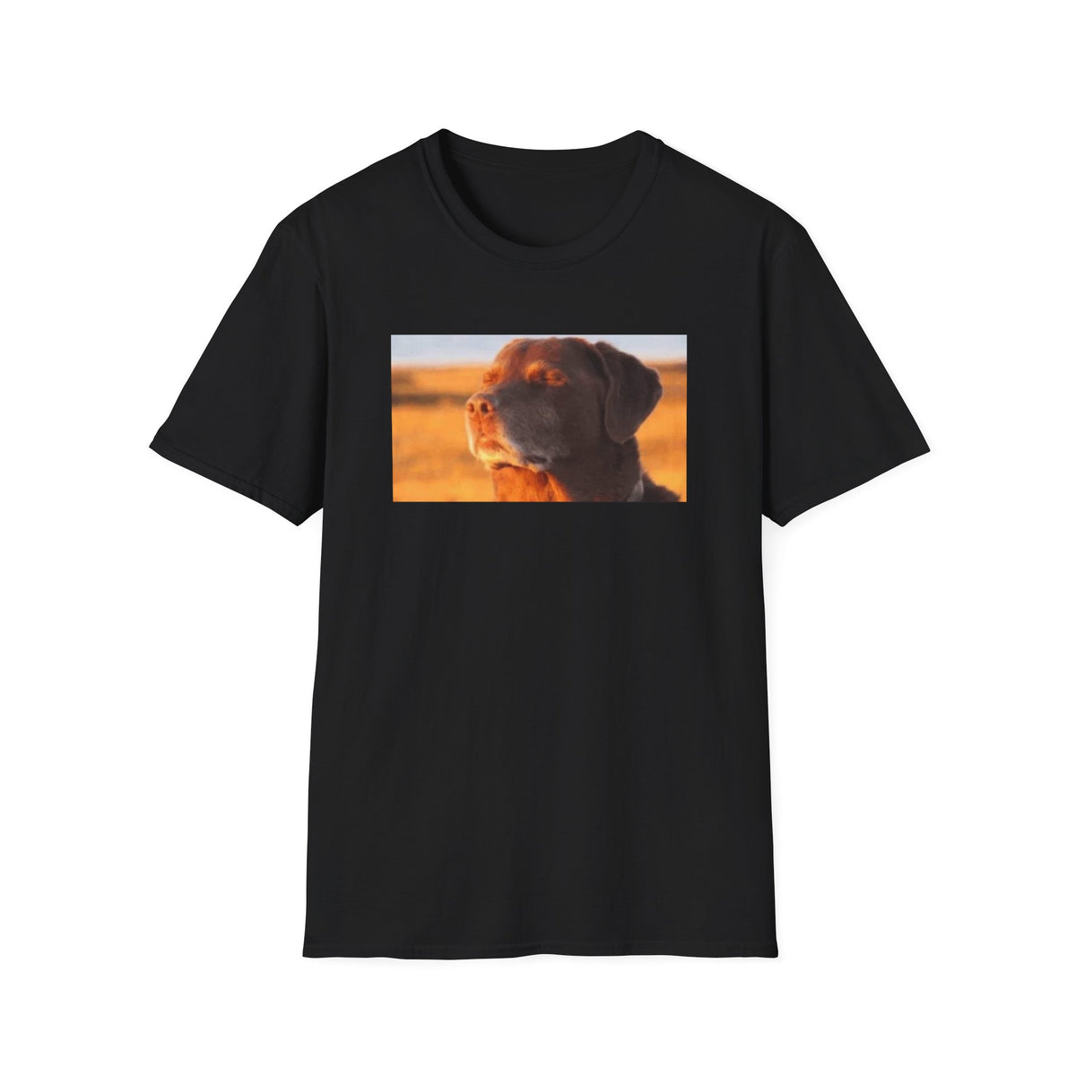 Dog Eyes Closed Meme