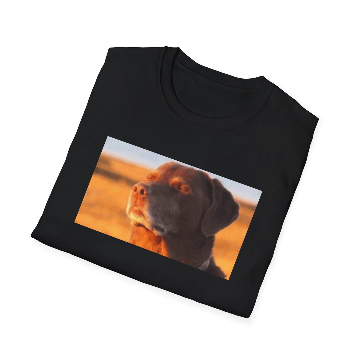 Dog Eyes Closed Meme