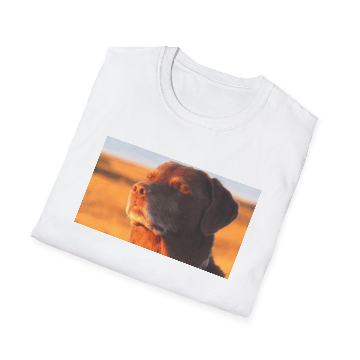 Dog Eyes Closed Meme