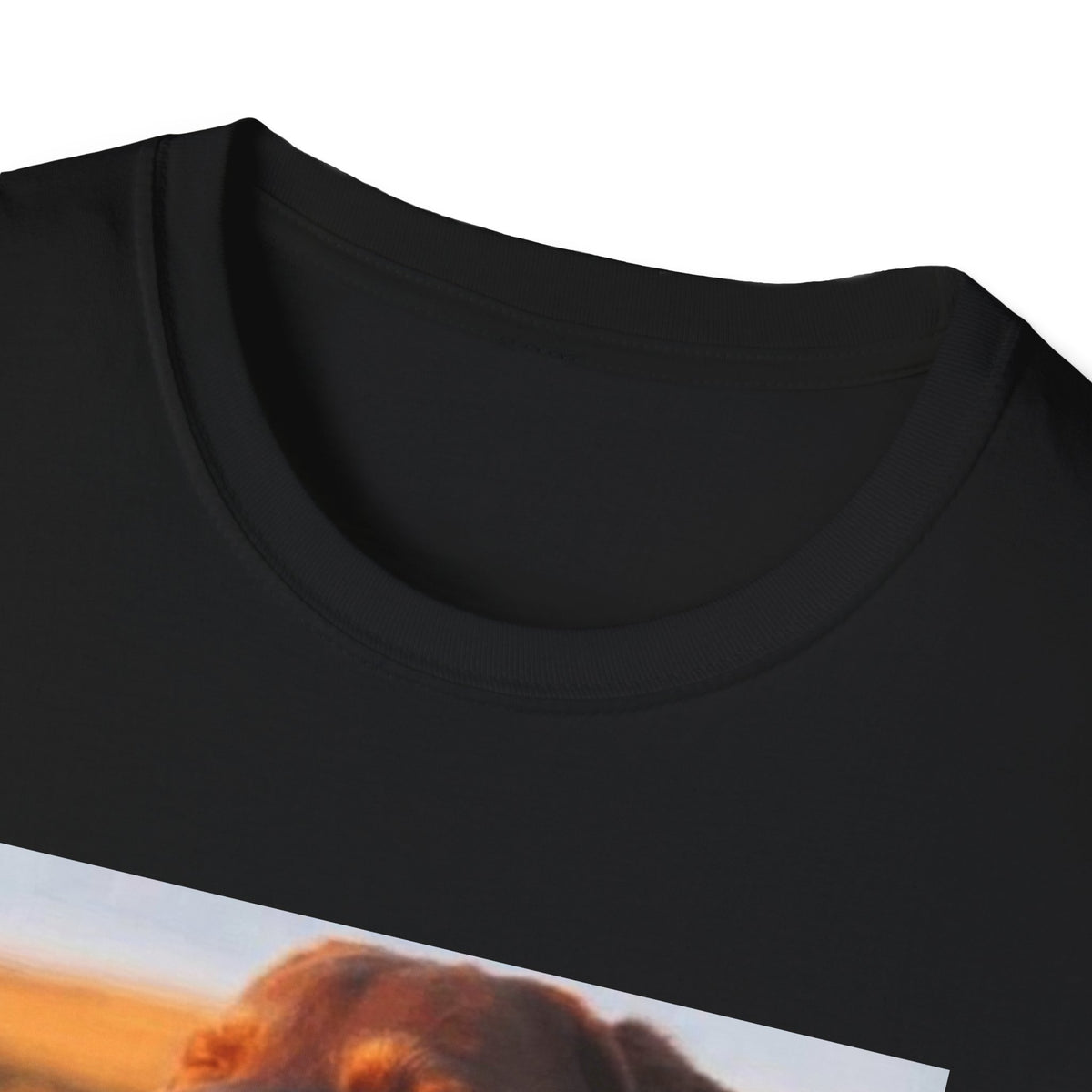 Dog Eyes Closed Meme