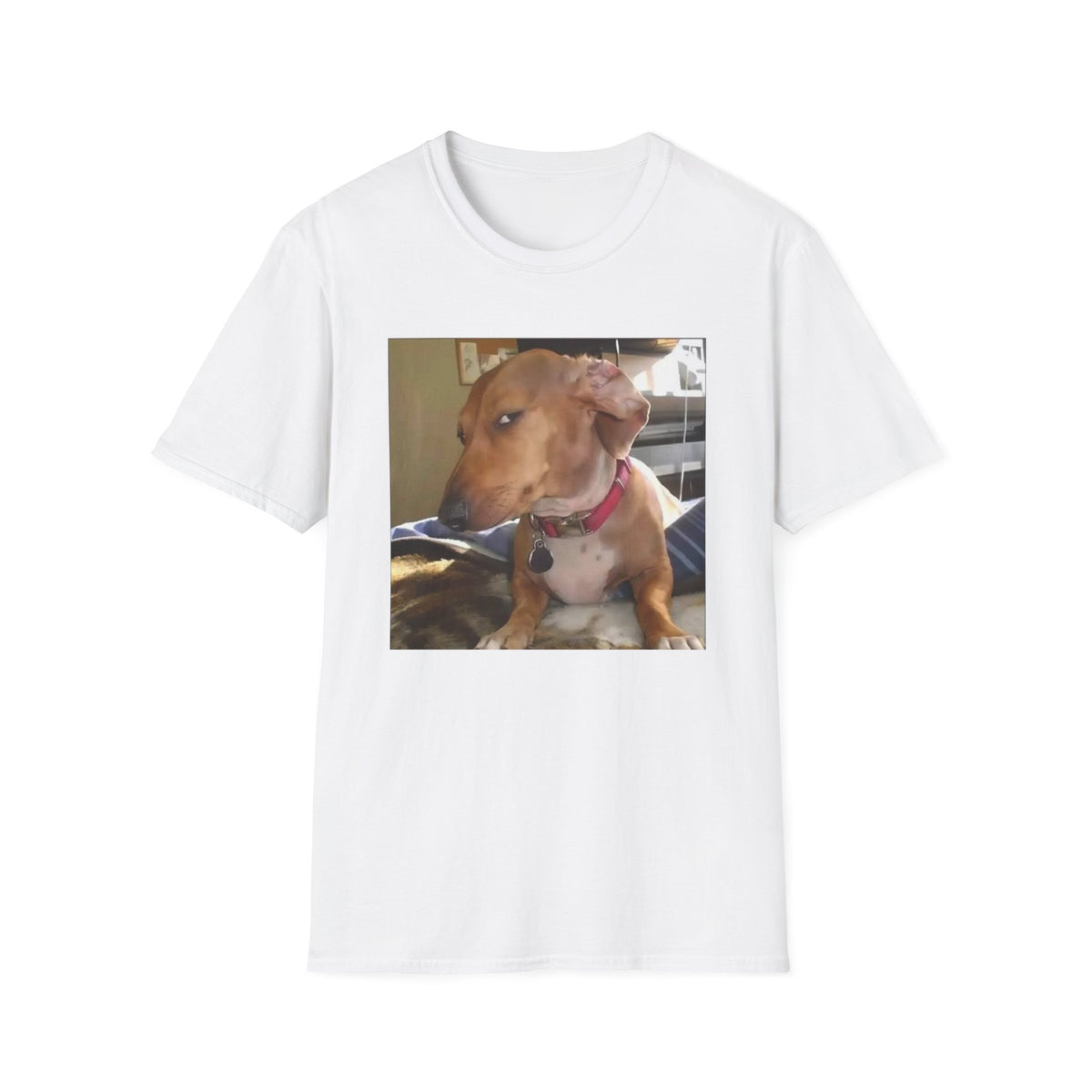 Dog Side Eye Sus Reaction Meme
