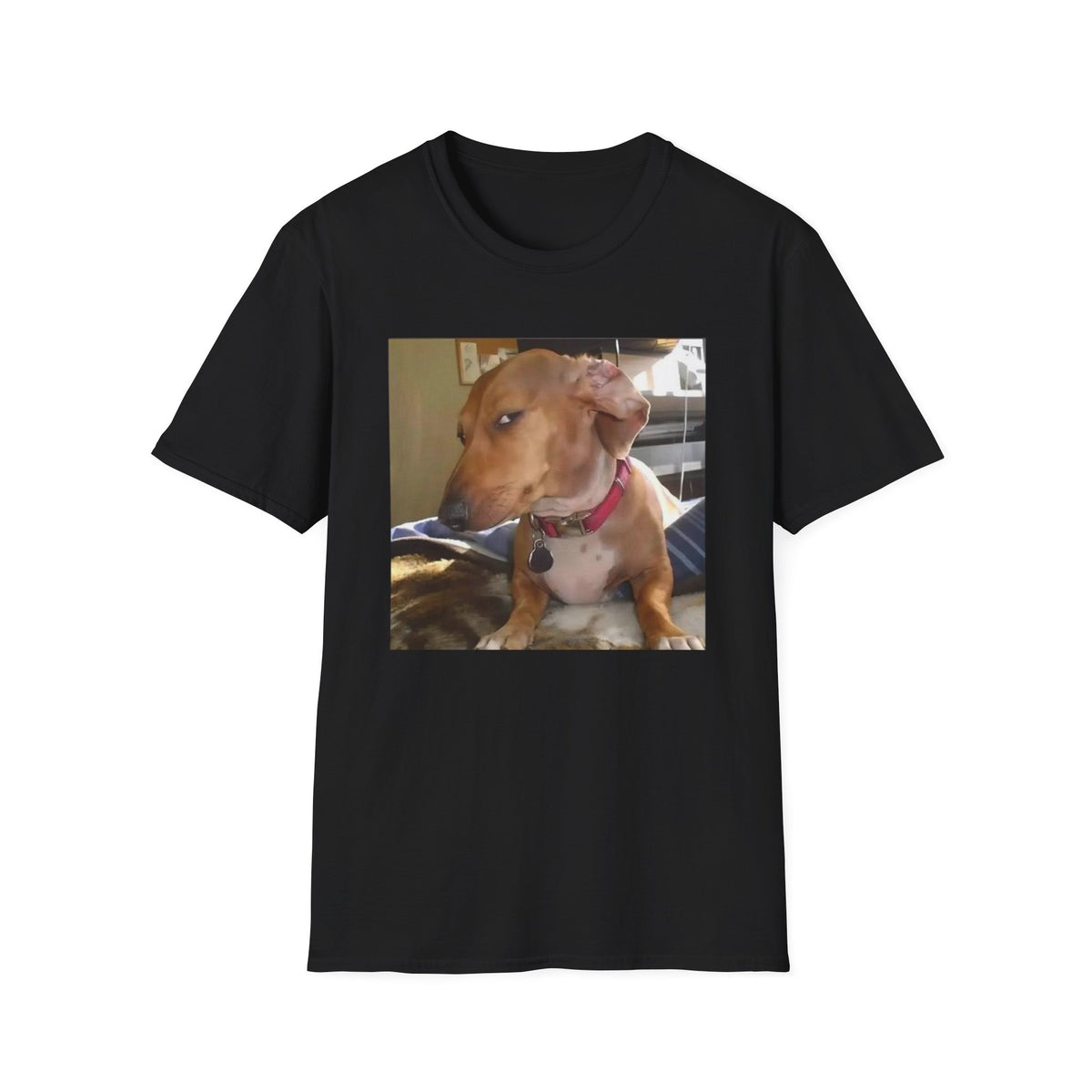 Dog Side Eye Sus Reaction Meme